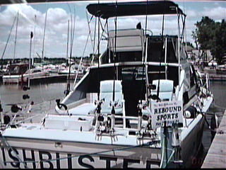 fish1.jpg (72990 bytes)